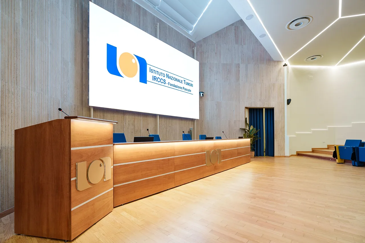 Fondazione Pascale — vista 3 del progetto Conus